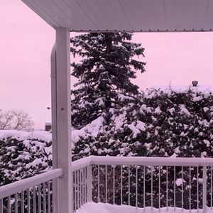 Meet your Posher, Celia